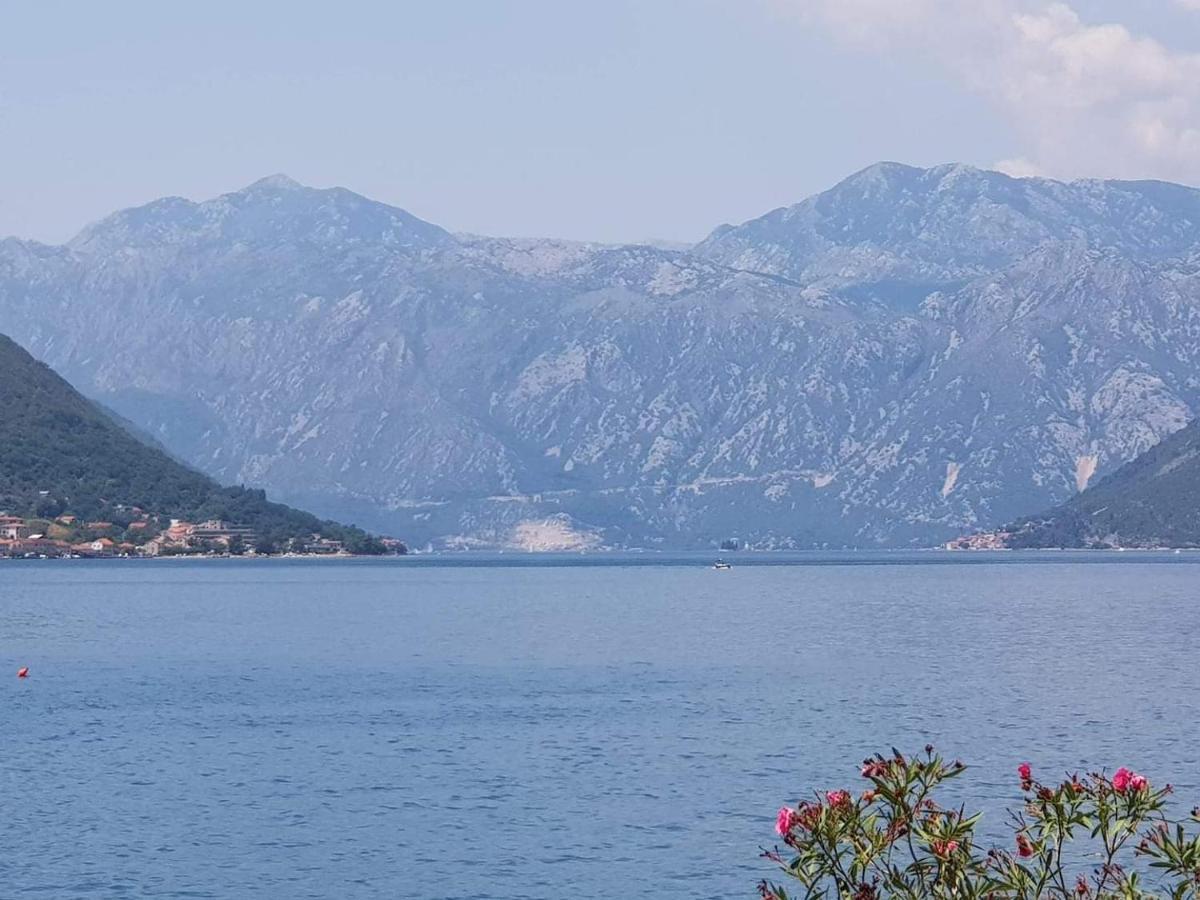 Montenegro Apartments - Private Beach Kotor Zewnętrze zdjęcie