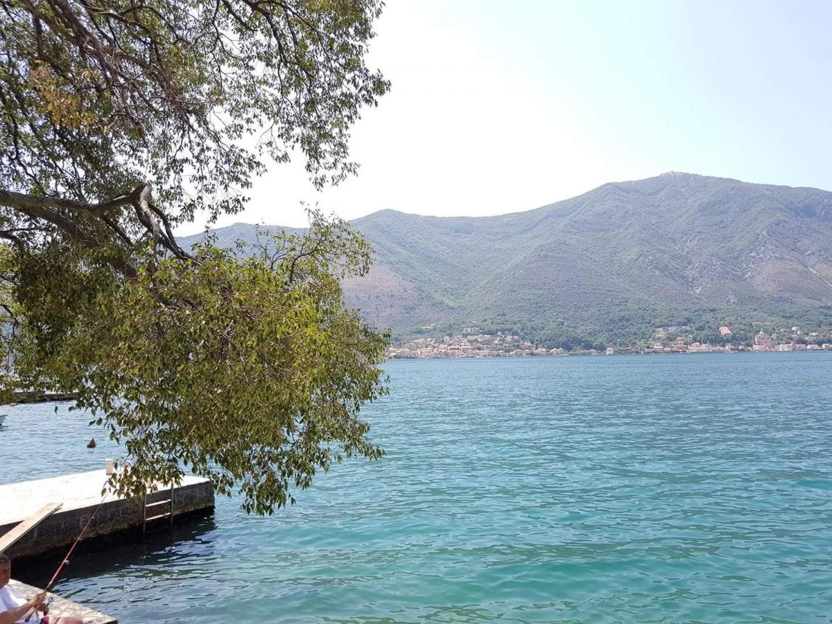 Montenegro Apartments - Private Beach Kotor Zewnętrze zdjęcie